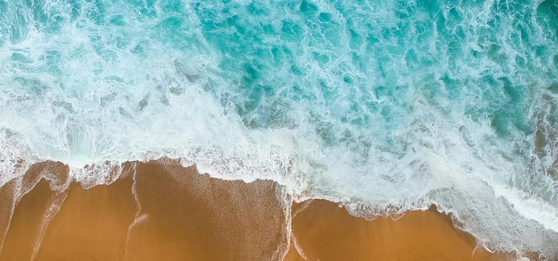 Horizon revealed banner 3 right