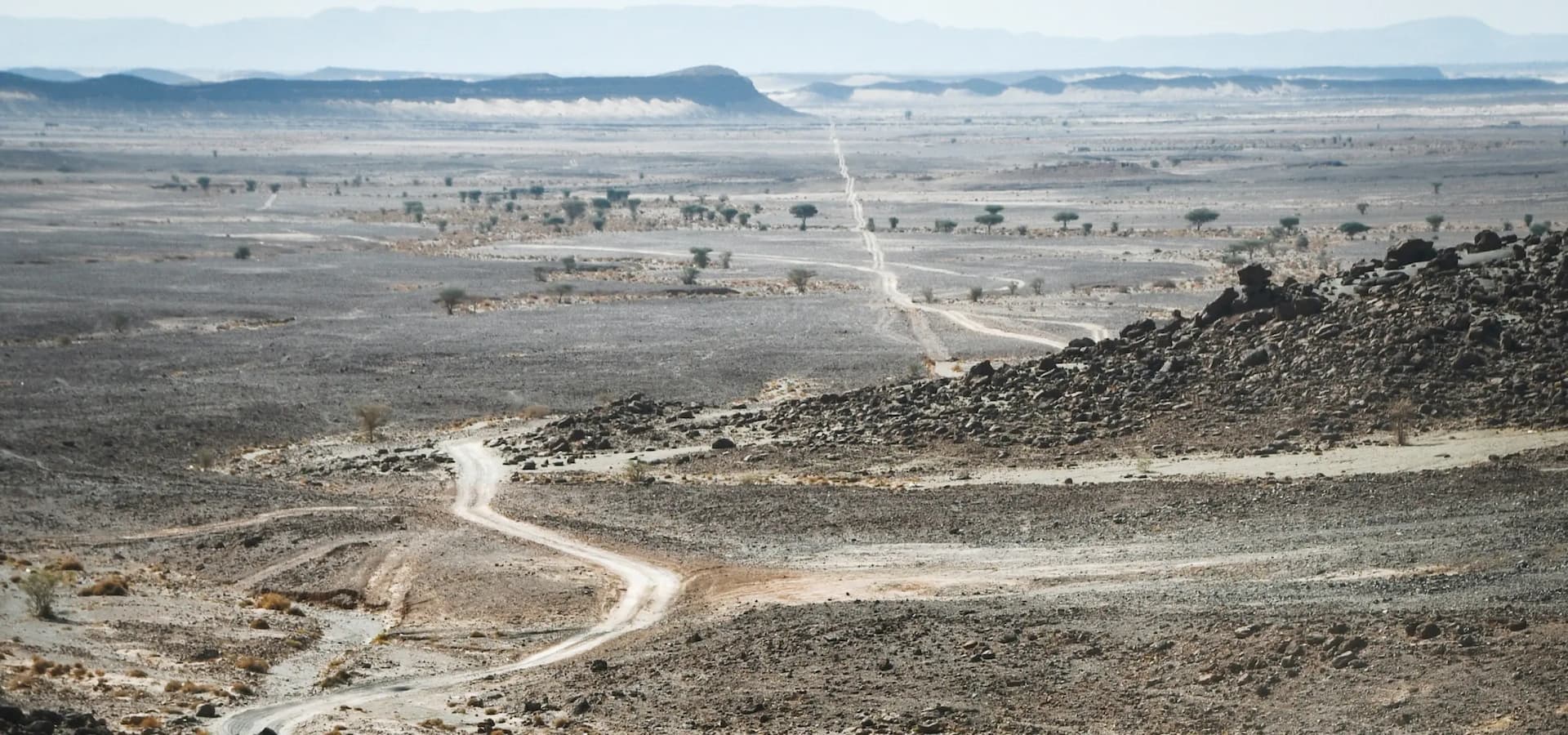 Horizon revealed banner 3 left