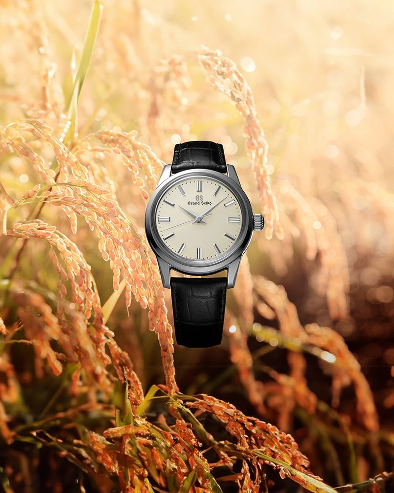 undefined featured image